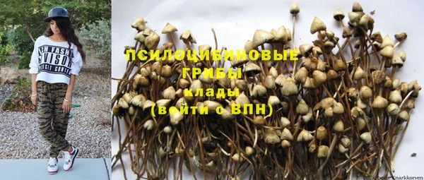 кокс Армянск